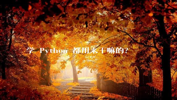 学 Python 都用来干嘛的？