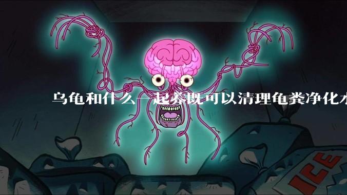 乌龟和什么一起养既可以清理龟粪净化水质又可以当龟食物？