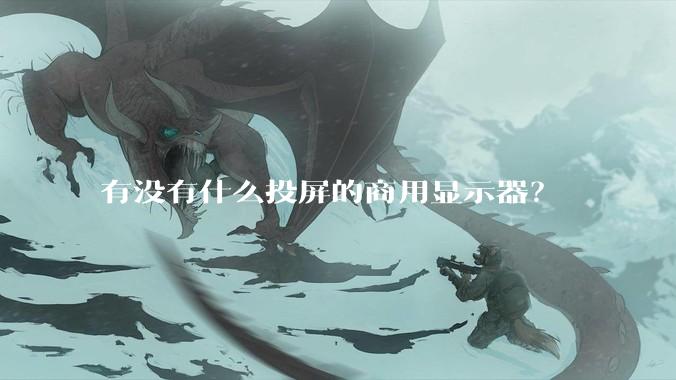 有没有什么投屏的商用显示器？