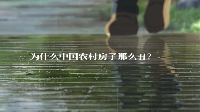 为什么中国农村房子那么丑？
