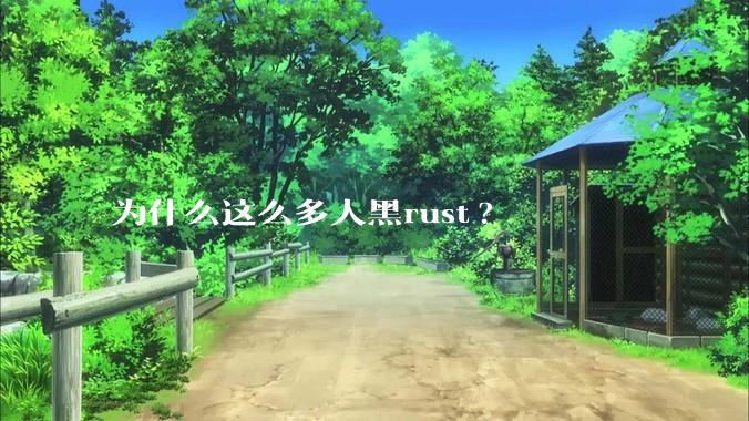 为什么这么多人黑rust?