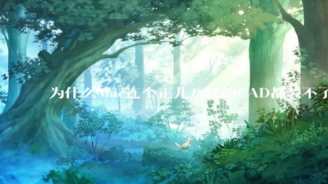 为什么Mac连个正儿八经的CAD都装不了还敢打着生产力的旗号？