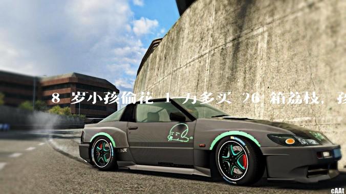 8 岁小孩偷花 1 万多买 26 箱荔枝，孩子父亲称在商品未发货时申请退款被拒，这合理吗？