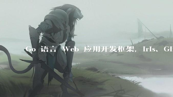 Go 语言 Web 应用开发框架，Iris、Gin、Echo，哪一个更适合大型项目？