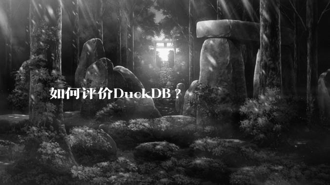 如何评价DuckDB?