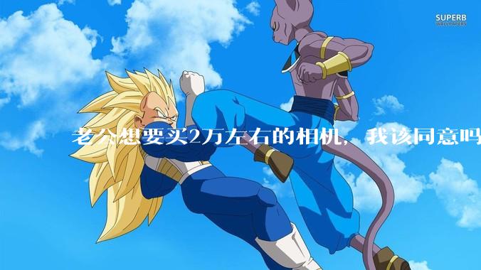 老公想要买2万左右的相机，我该同意吗？