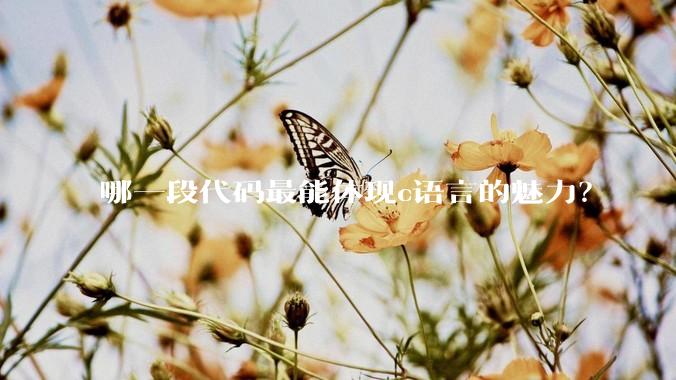 哪一段代码最能体现c语言的魅力?