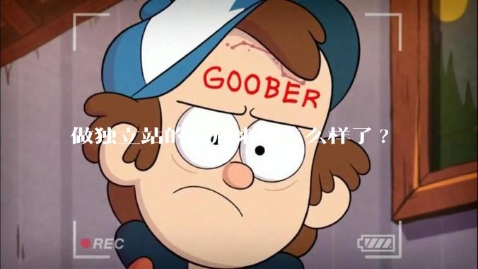 做独立站的人后来都怎么样了?