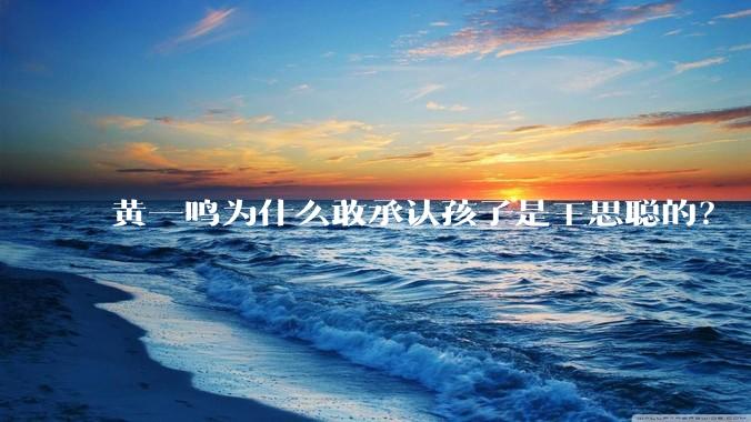 黄一鸣为什么敢承认孩子是王思聪的？