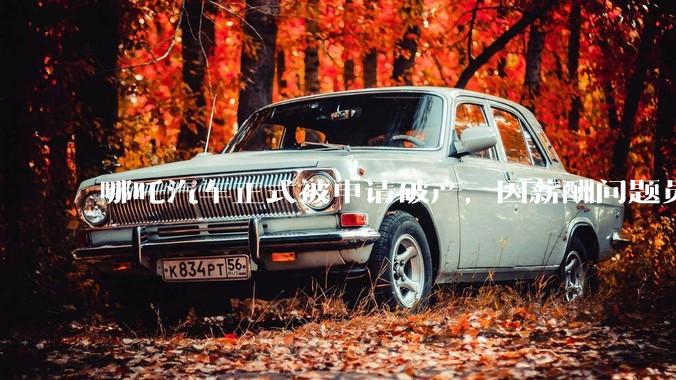 哪吒汽车正式被申请破产，因薪酬问题员工已两月没去上班，被申请破产意味着什么？员工权益还能得到保障吗？