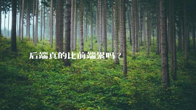 后端真的比前端累吗?