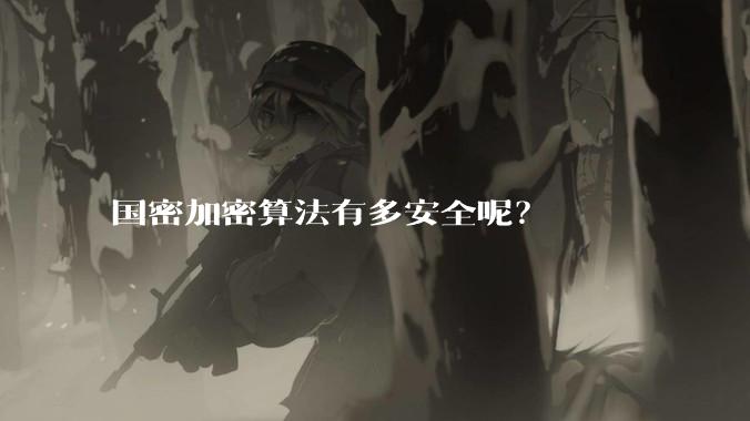 国密加密算法有多安全呢？