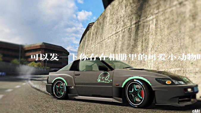 可以发一下你存在相册里的可爱小动物吗？