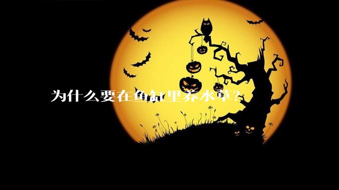 为什么要在鱼缸里养水草？