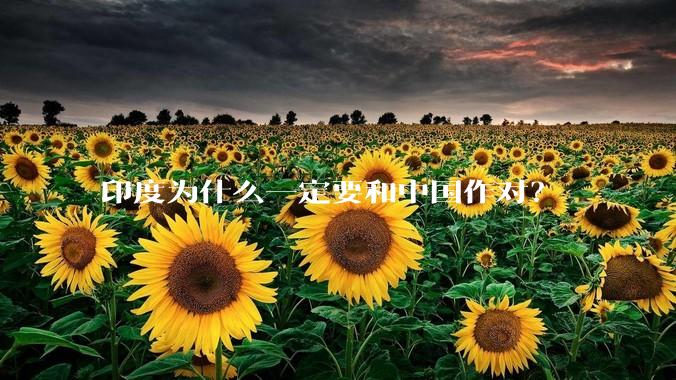 印度为什么一定要和中国作对？