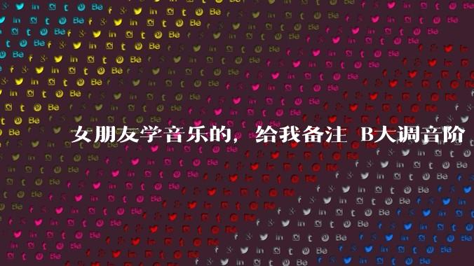 女朋友学音乐的，给我备注 B大调音阶 是什么含义呢？