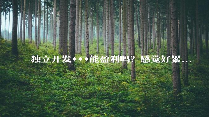 独立开发***能盈利吗？感觉好累...